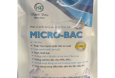 Vai trò khác biệt của từng loài Bacillus trong nuôi tôm